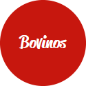 Bovinos